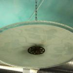 892 8237 CEILING FIXTURE